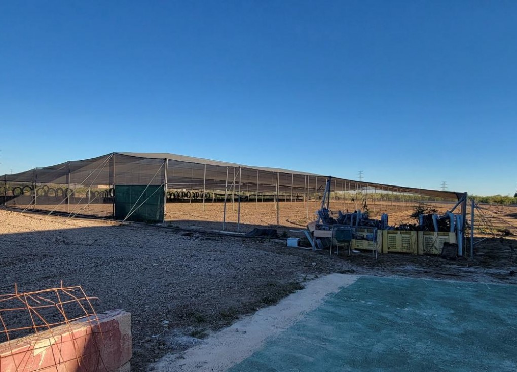 Resale - Finca - San Miguel de Salinas