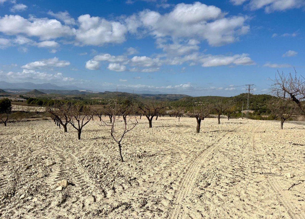 Resale - Plot - Bullas