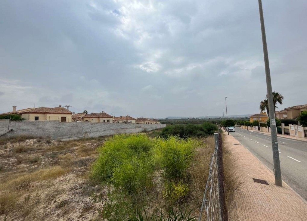 Resale - Plot - San Fulgencio