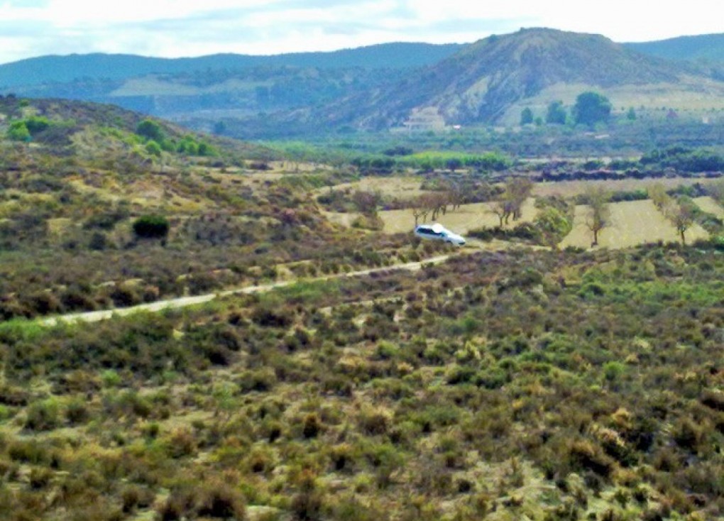 Resale - Plot - Torremendo