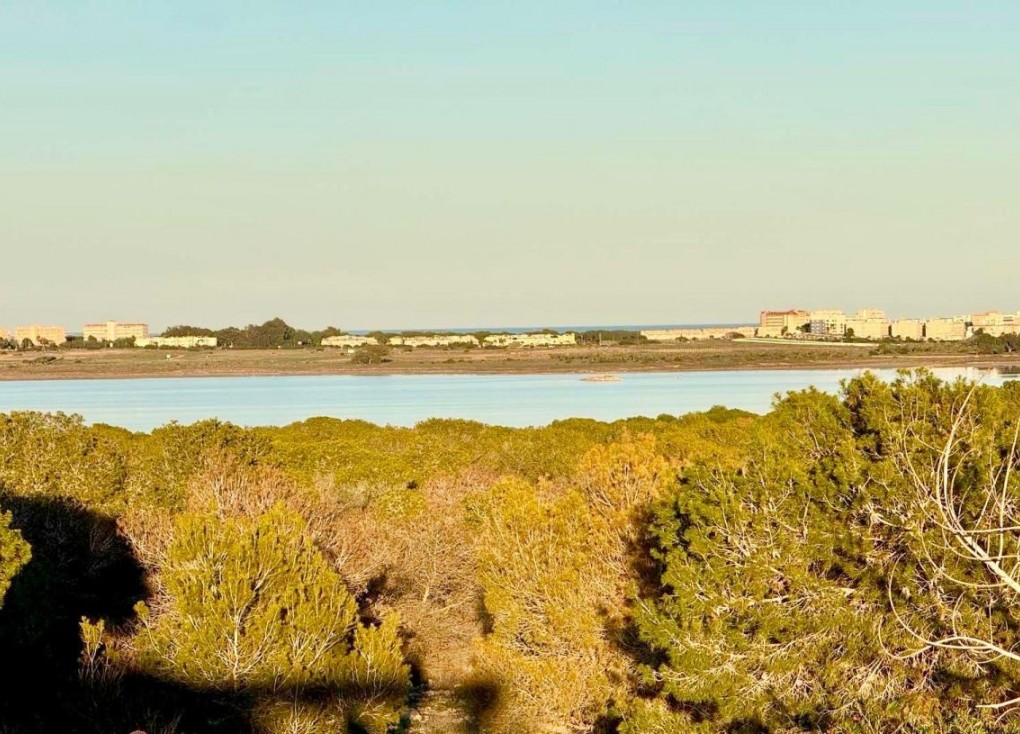 Resale - Semi-Detached - Torrevieja