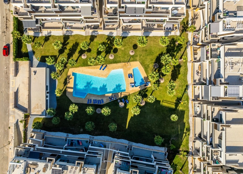 Reventa - Apartamento - Apartamento en el último piso - Orihuela Costa - Los Altos