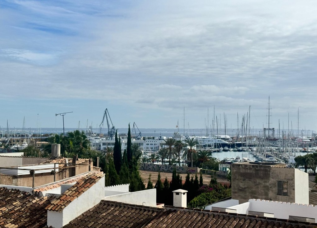 Reventa - Apartamento - Apartamento en el último piso - Palma