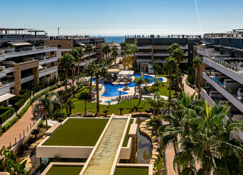 Reventa - Apartamento - Apartamento en el último piso - Playa Flamenca