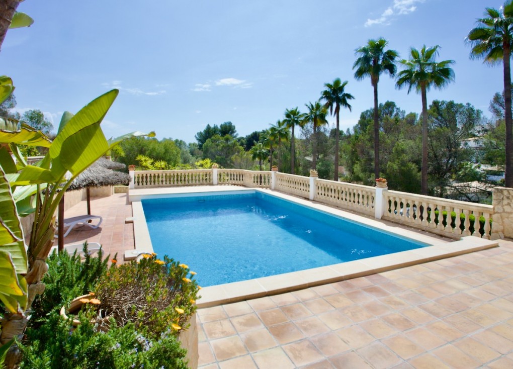 Reventa - Apartamento - Apartamento Planta Baja - Portals Nous - Calvià