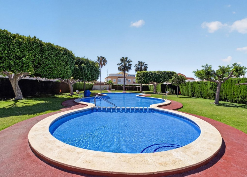 Reventa - Apartamento - Apartamento Planta Baja - Torrevieja - El limonar
