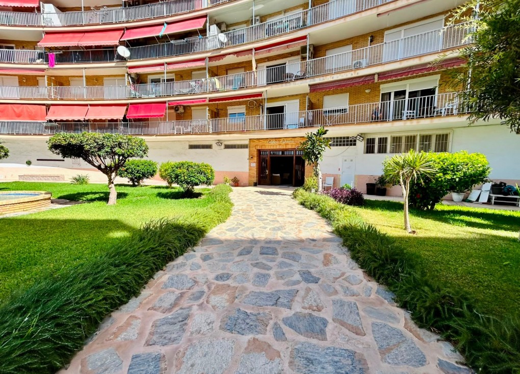 Reventa - Apartamento / piso - Torrevieja - Playa de los Locos