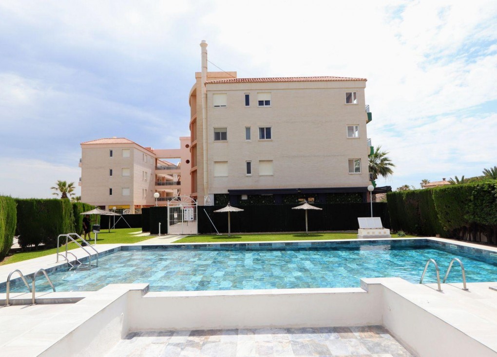 Reventa - Apartamento / piso - Torrevieja - Playa Flamenca