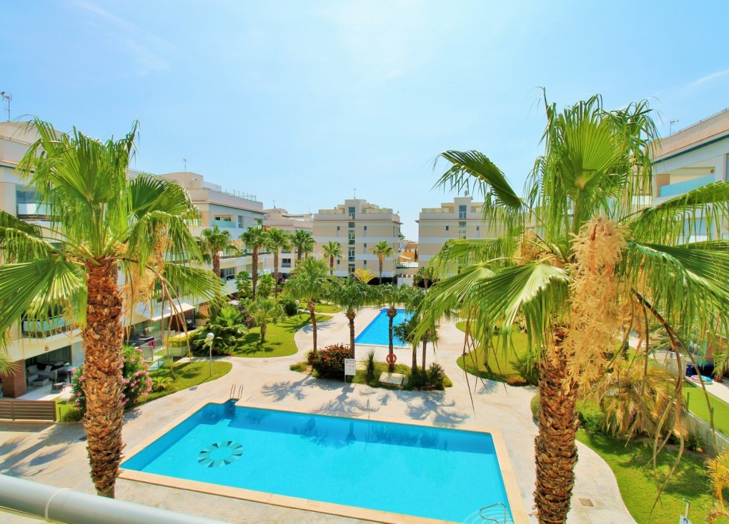 Reventa - Apartamento / piso - Villamartín - Los Dolses