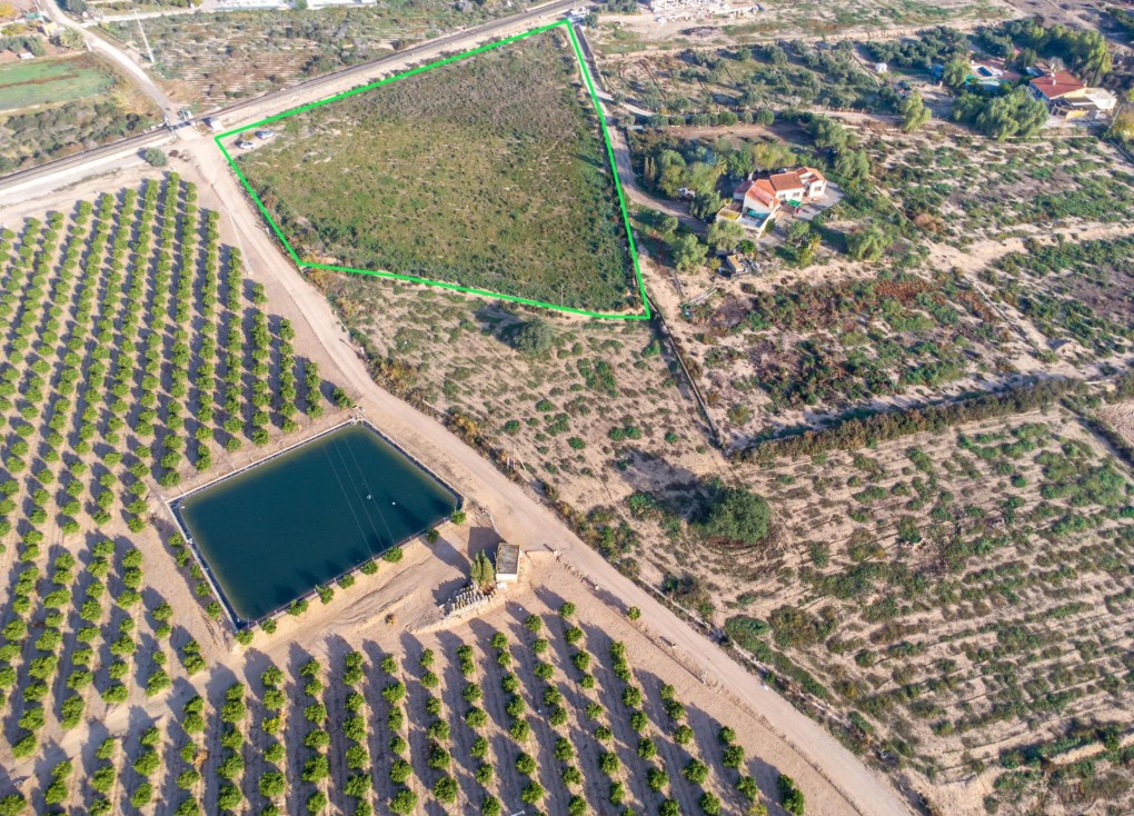 Reventa - Tierra de campo - Crevillent - Comunidad valenciana