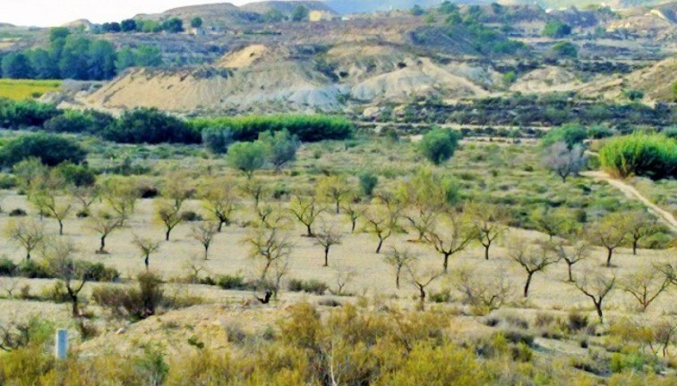 Solar - Reventa - Torremendo - Torremendo