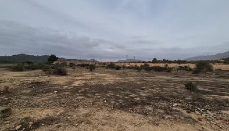 Tontti - Jälleenmyynti - Hondón de las Nieves - Hondón de las Nieves