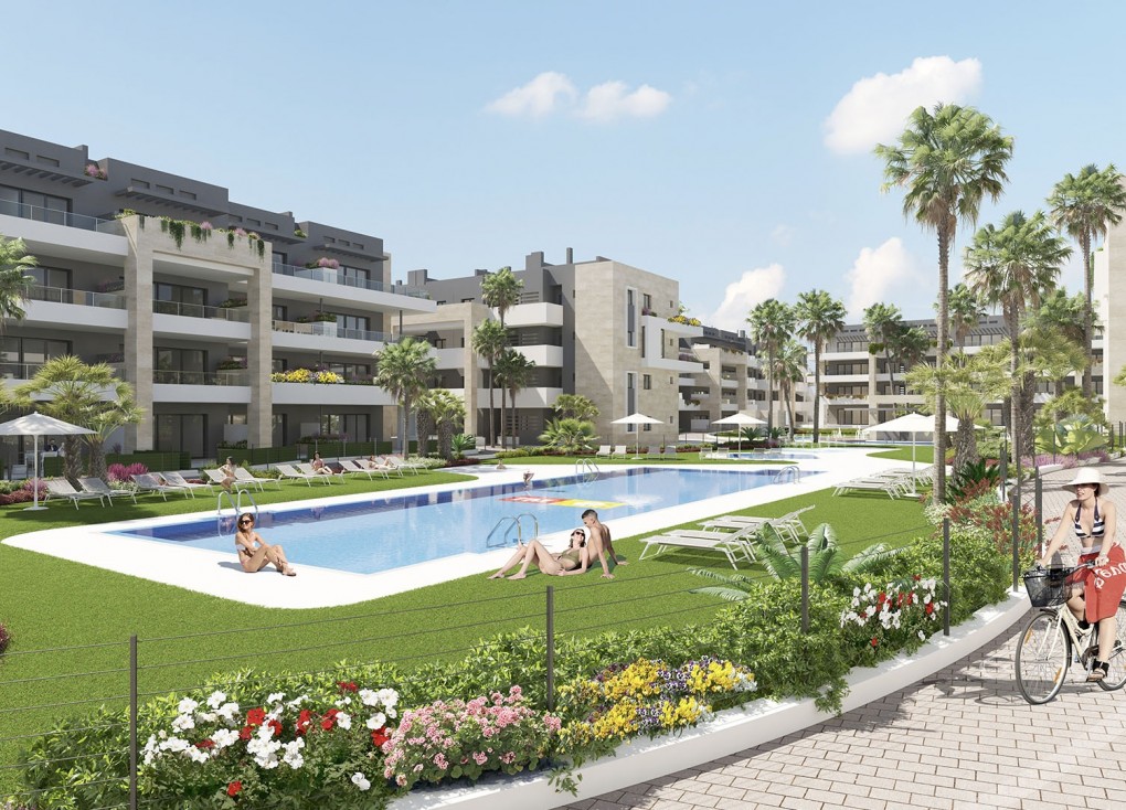 Uudistuotanto - Asunto - Orihuela (Alicante) - Orihuela