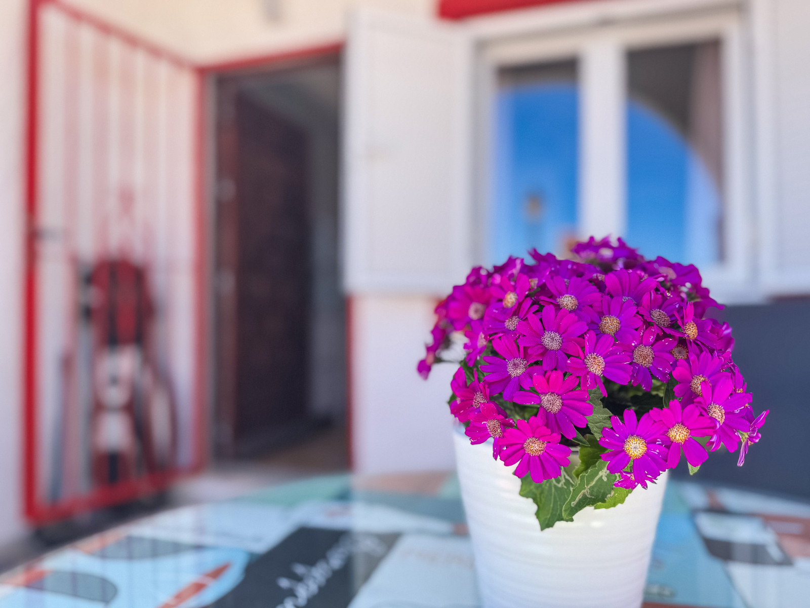 LE-1134 — Torrevieja bild 3