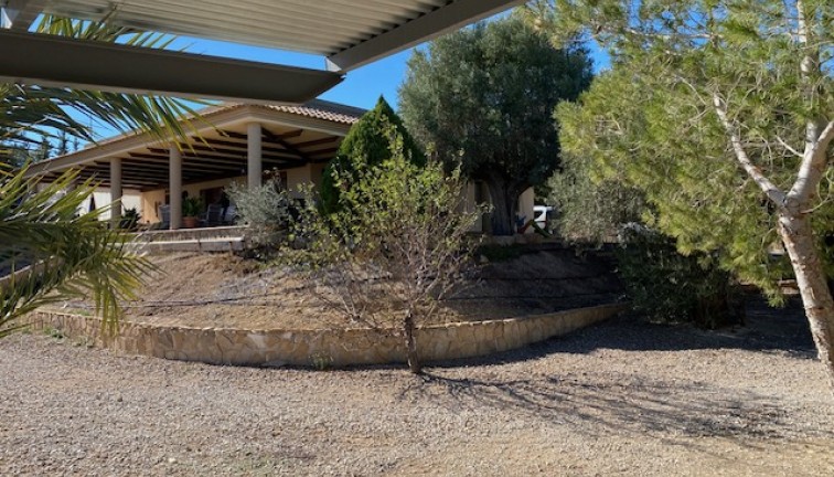 Återförsäljning - Finca - Murcia