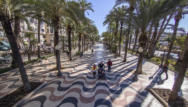 Obra nueva - Apartamento / piso - Torrevieja - Torreblanca