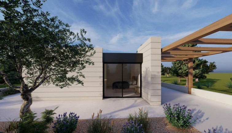 New Build - Chalet - Pilar de la Horadada