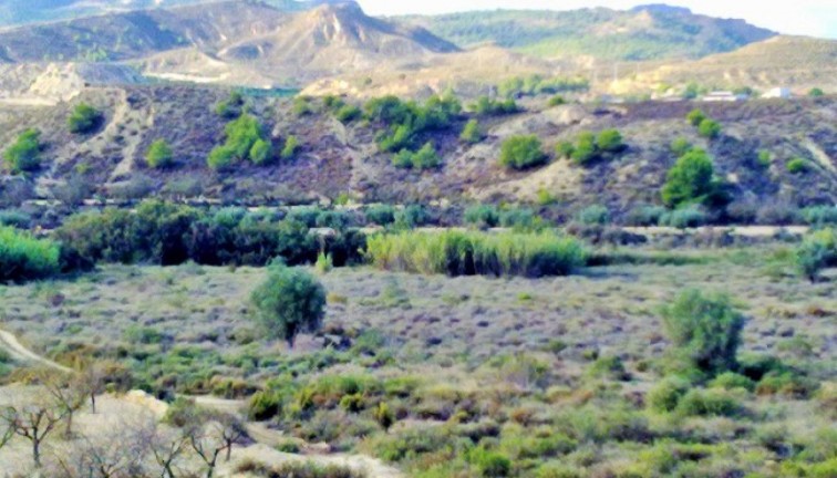 Resale - Plot - Torremendo