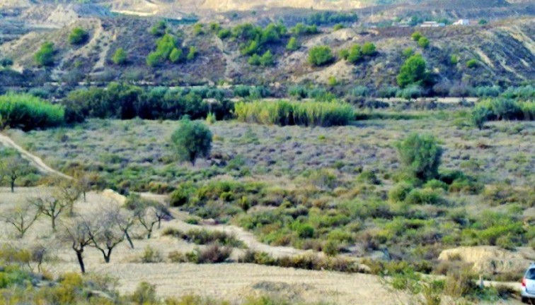 Resale - Plot - Torremendo