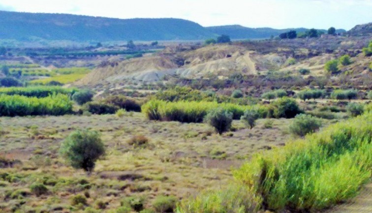 Resale - Plot - Torremendo