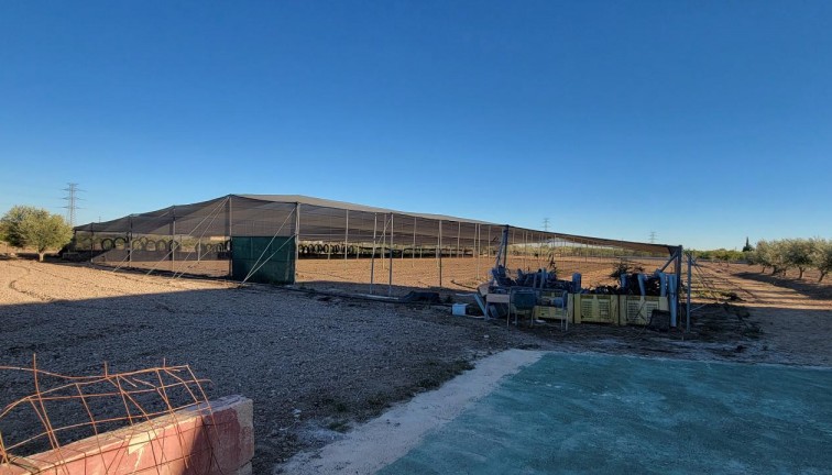 Resale - Finca - San Miguel de Salinas