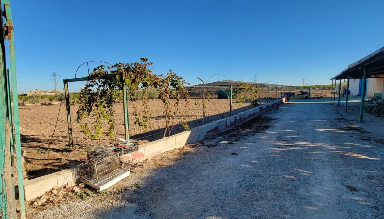 Resale - Finca - San Miguel de Salinas