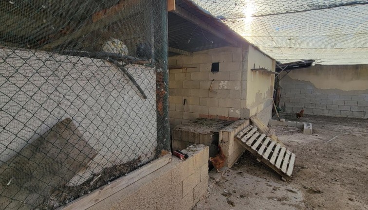 Resale - Finca - San Miguel de Salinas