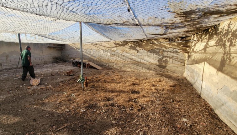 Resale - Finca - San Miguel de Salinas