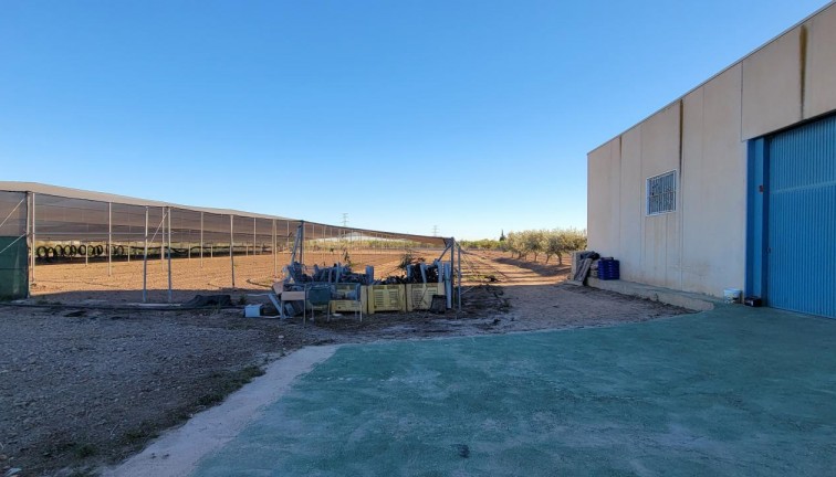 Resale - Finca - San Miguel de Salinas