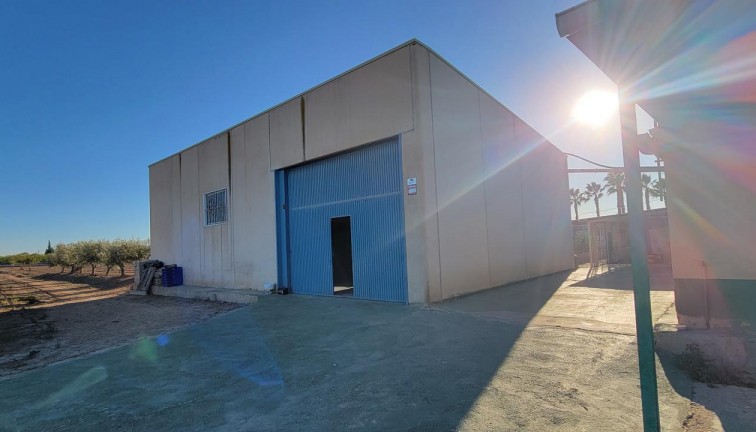 Resale - Finca - San Miguel de Salinas