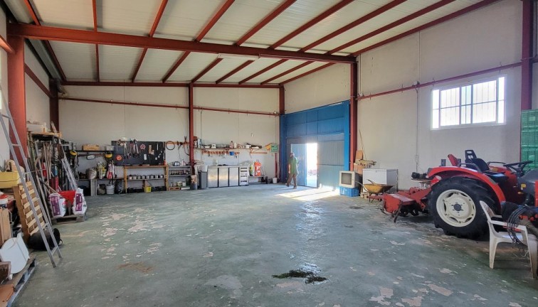 Resale - Finca - San Miguel de Salinas