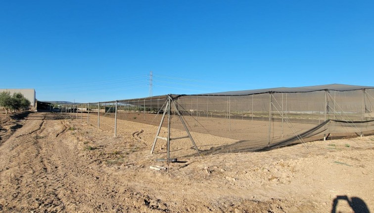 Resale - Finca - San Miguel de Salinas