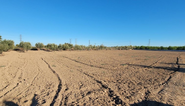 Resale - Finca - San Miguel de Salinas