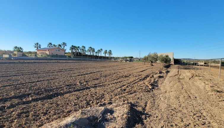 Resale - Finca - San Miguel de Salinas