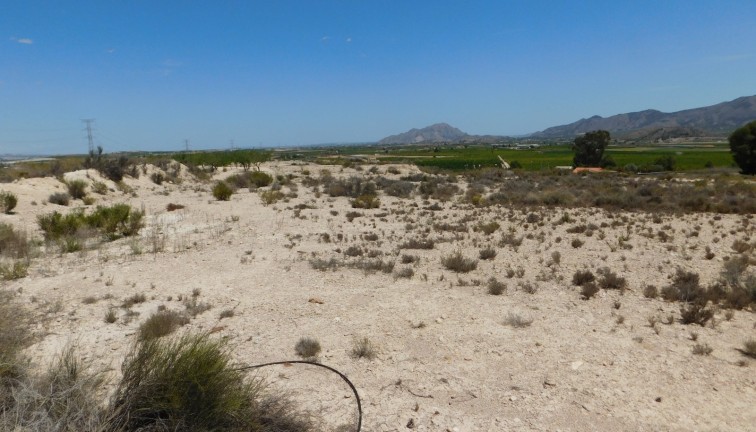 Resale - Plot - Fortuna