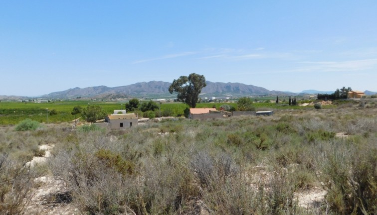 Resale - Plot - Fortuna