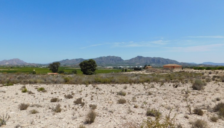 Resale - Plot - Fortuna