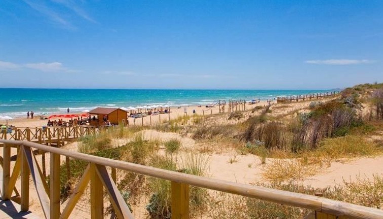 New Build - Chalet - Benijofar