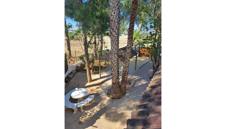 Jälleenmyynti - Erillistalo - Orihuela