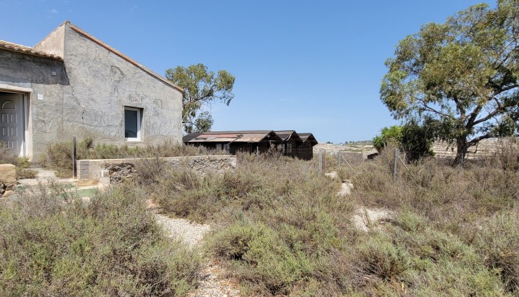 Resale - Finca - Torremendo