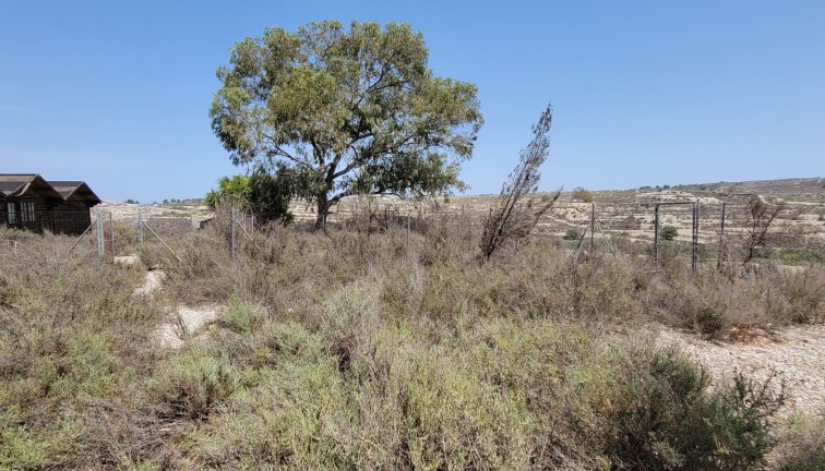 Resale - Finca - Torremendo