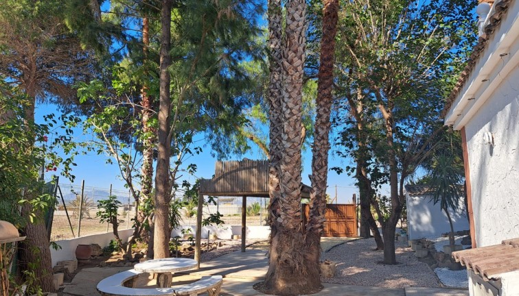 Återförsäljning - Finca - Orihuela - Orihuela Costa