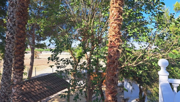 Återförsäljning - Finca - Orihuela - Orihuela Costa