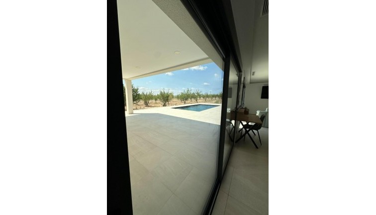 Uudistuotanto - Erillistalo - Pinoso