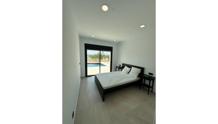 Uudistuotanto - Erillistalo - Pinoso