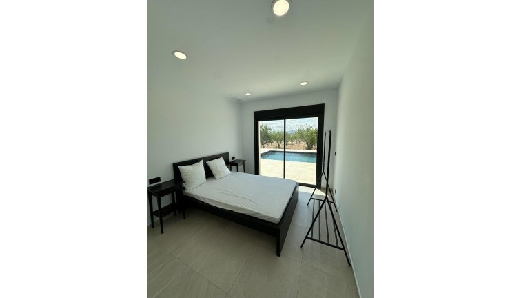 Uudistuotanto - Erillistalo - Pinoso