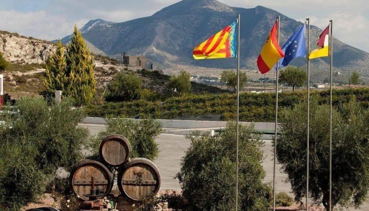 Uudistuotanto - Erillistalo - Pinoso