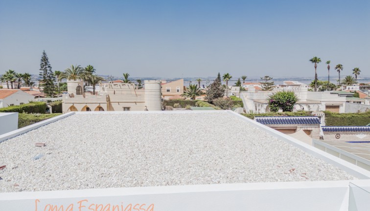 Obra nueva - Chalet - Torrevieja - Torreta Florida