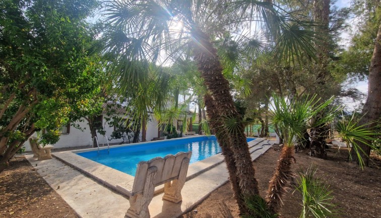 Jälleenmyynti - Erillistalo - Orihuela