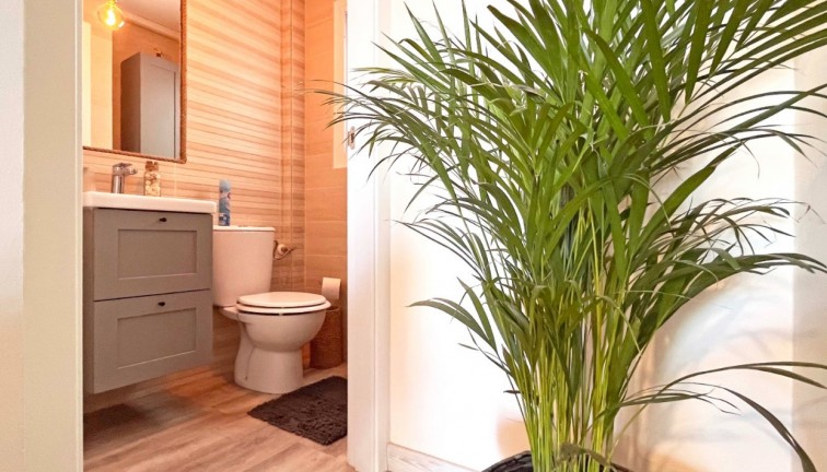 Reventa - Casa adosada - Torrevieja - Los Balcones